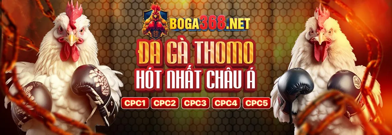 Biểu Đồ Các Cấp Bậc VIP hi1555