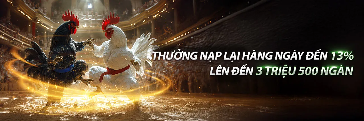 Đá gà trực tuyến sôi động tại hi1555 Đăng Nhập